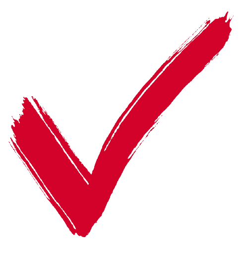 red checkmark Icon